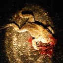 toad, death, spot, asphalt