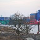tree, excavator, container ship, dyke