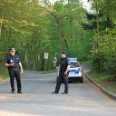 barrier, Falkensteiner Weg, forest, traffic sign, police officer, police car, street lamp