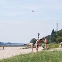 Wittenbergen, Elbe, waste bin, beach, lighthouse, helicopter, sand, grassland, jetty