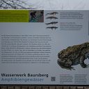 placard, Falkensteiner Ufer, water basin